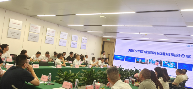 蓉漂咖啡·知產護航，綠創未來——四川“兩新”組織聯建活動順利舉辦，引領技術服務新篇章